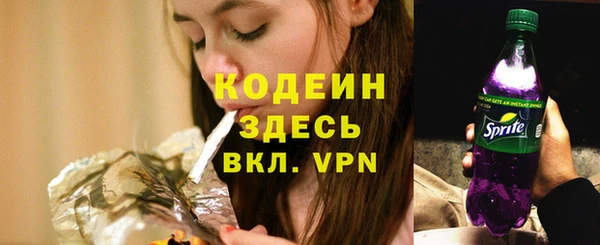 PSILOCYBIN Богданович