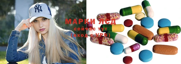 PSILOCYBIN Богданович