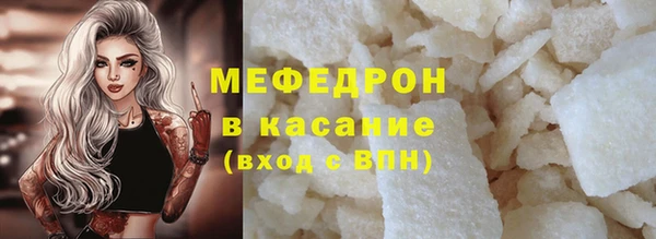 мдпв Богородск