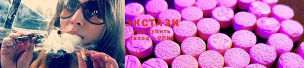 мдпв Богородск