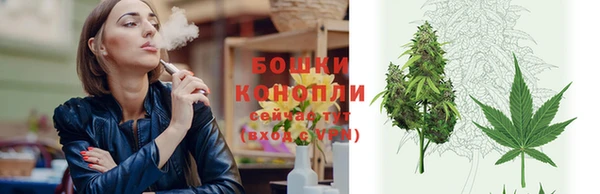 PSILOCYBIN Богданович