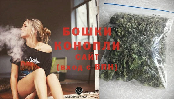PSILOCYBIN Богданович