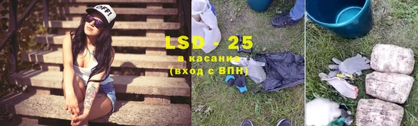 PSILOCYBIN Богданович
