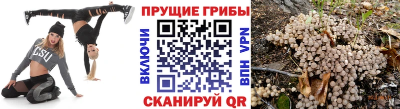 Псилоцибиновые грибы GOLDEN TEACHER  наркота  Брянск 