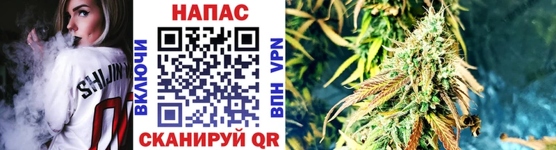 Шишки марихуана марихуана  где продают   Брянск 